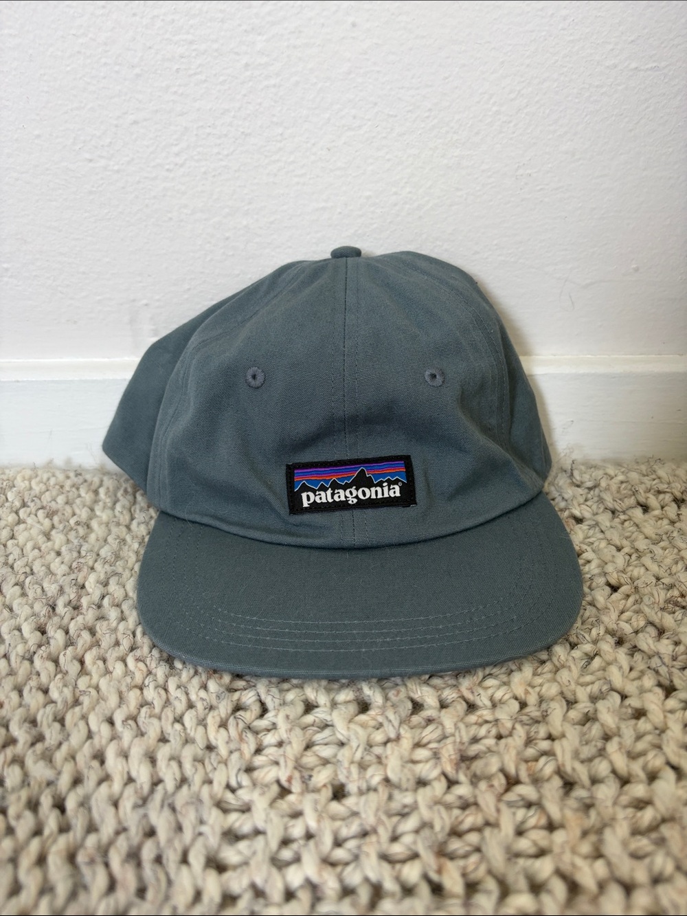 Patagonia Slate Green Logo Baseball Cap